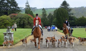 A shot from the recent Bluebell Festival held in the grounds of Curraghmore Estate.