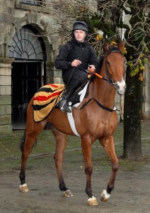Waterford trainer Shay Barry preparing for the gallops