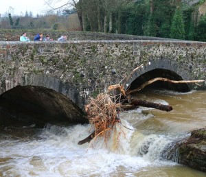 Abating floodwaters on the River Clodagh running through Portlaw