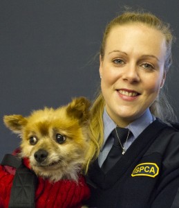 ISPCA Inspector Alice Lacey, pictured with Hector the Pomerian.