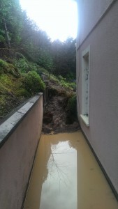 The bank over the Dunnes' back garden, which partly collapsed during the landslide. 