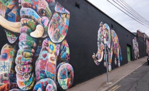 The city centre elephants, one of the more eye-catching creations of the Waterford Walls project. 