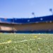 sports pitch
