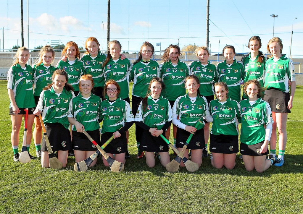 The Ballymacarbry team that played Mourneabbey in the Munster Senior Ladies Club Final