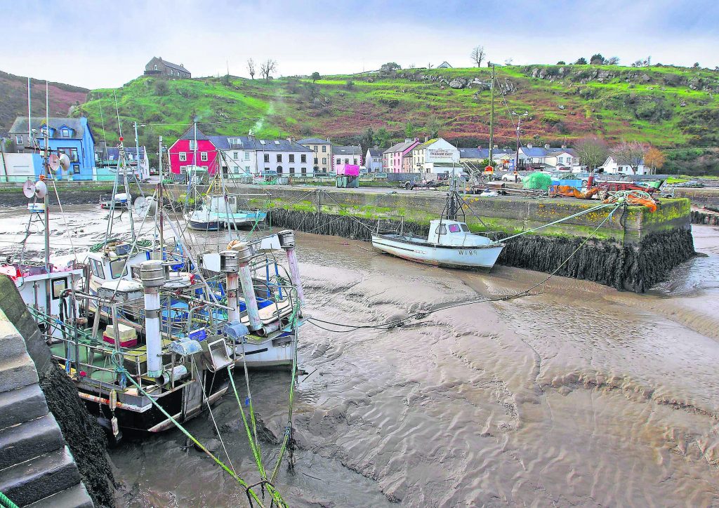 S1Pic1 MAIN PIC LEFT