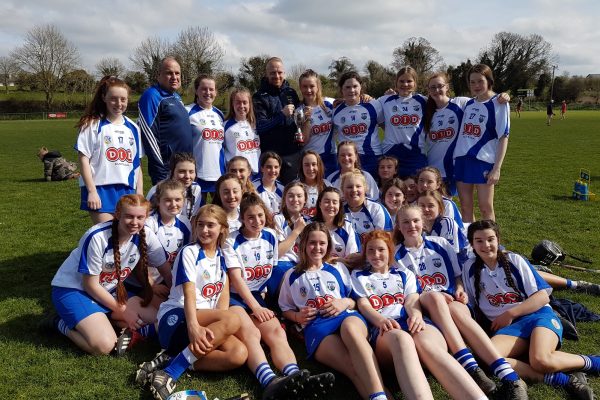 Déise dig deep to deliver Munster title