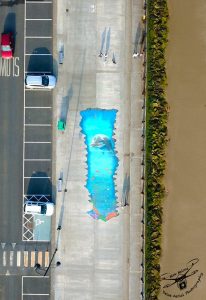 The beautiful murals created by Lisa Murphy on The Prom. 
