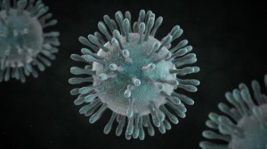 virus