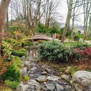 Dreaming of an Exotic Wedding Location?