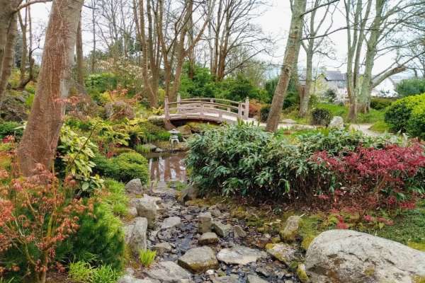 Dreaming of an Exotic Wedding Location?