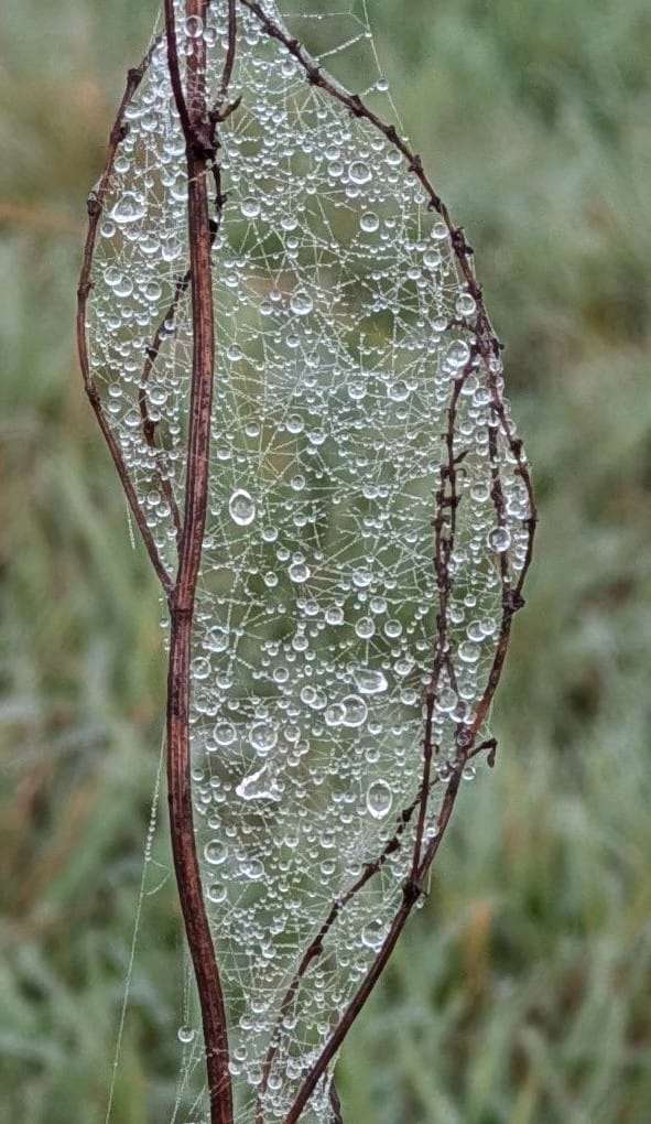 Started from a single thread.