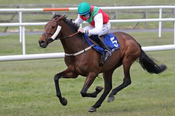 Treble Delight for Kenneally on Opening Day at Tramore