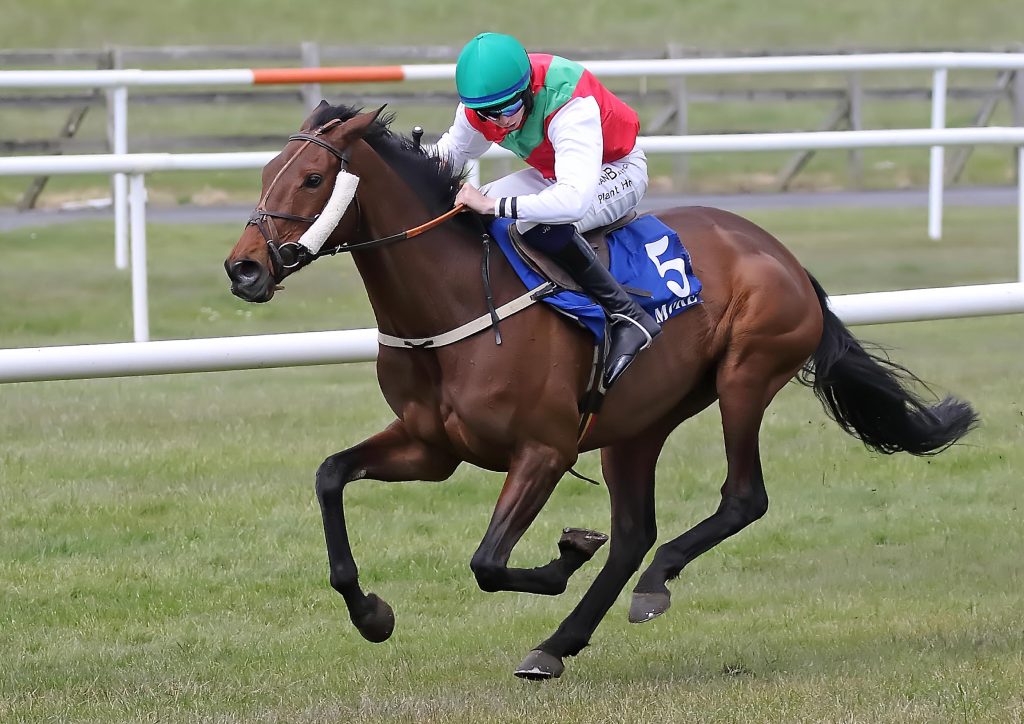 Treble Delight for Kenneally on Opening Day at Tramore