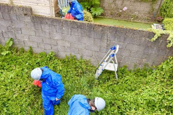 Clean- up Operations Progress at the Old Jute Factory&nbsp;