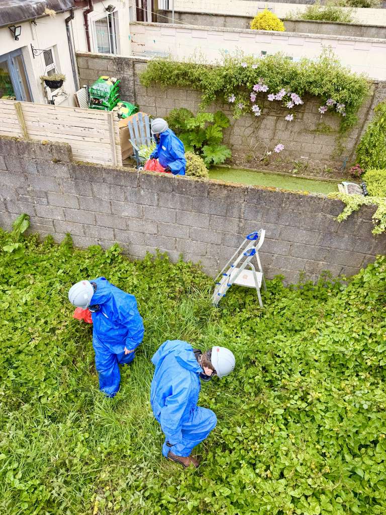 Clean- up Operations Progress at the Old Jute Factory