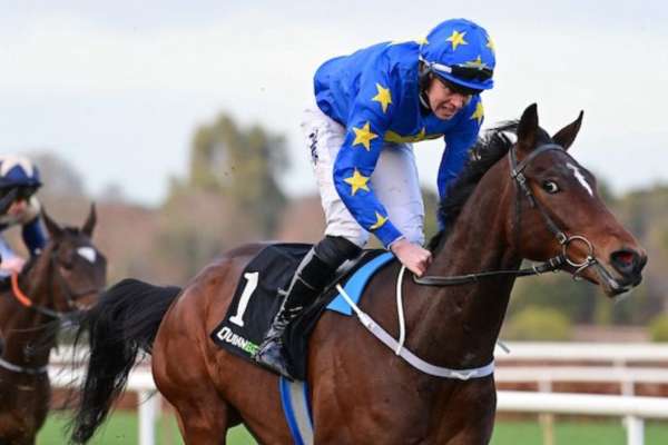 Fairytale Farewell for Bob Olinger Highlights Punchestown Festival