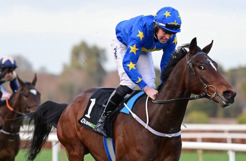 <strong>Fairytale Farewell for Bob Olinger Highlights Punchestown Festival</strong> Adaboy Mushy was a winner for Declan Queally.