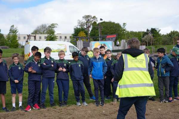 Local Collaboration Brings New Wildflower Meadow to Ferrybank Play Park Ahead of Biodiversity Week