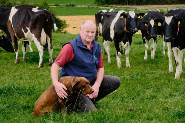 Bovine TB Communications &lsquo;improving but still not where it should be&rsquo;