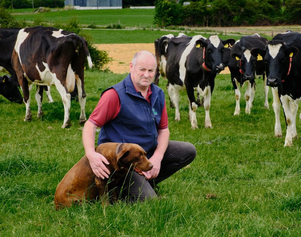 <strong>Bovine TB Communications ‘improving but still not where it should be’</strong> ICMSA Deputy President Eamon Carroll with 'Buddy' the dog on his Templemore farm.