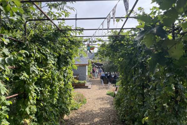 Top of the City Garden brightens historic City area