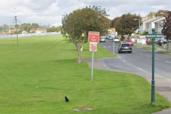 2.5m wall required between Hillview and Carrickphierish development