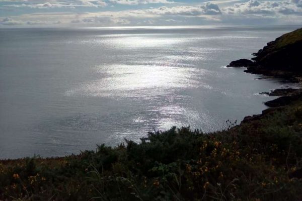 Man recovering from shark bite in Waterford
