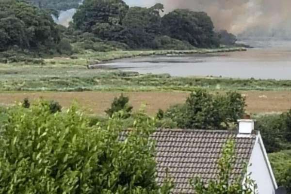 Call to bring back controlled burning