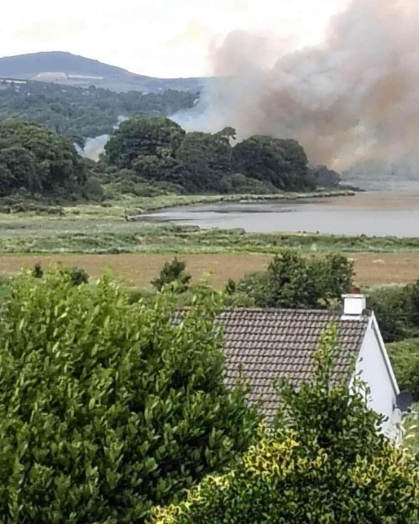Call to bring back controlled burning